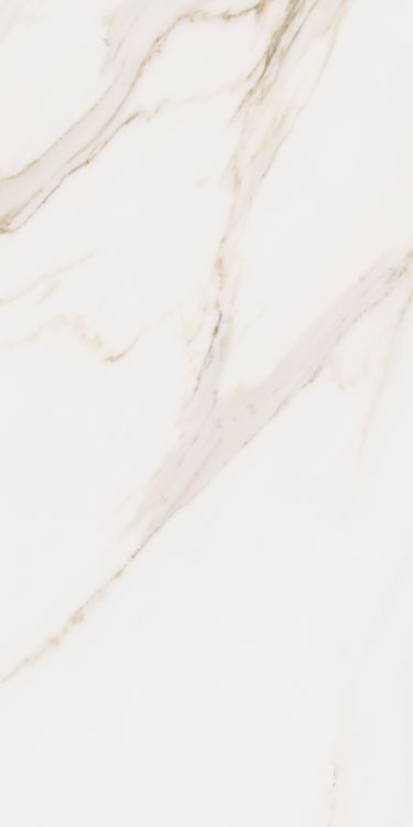 Omnia Calacatta Levigato 12 x 24